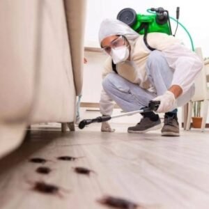 الدليل الشامل لأسعار رش المبيدات بالرياض